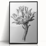 Romanticism Art - Artichoke Study - Classic Botanical Romantic Print