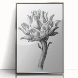 Romanticism Art - Artichoke Study - Classic Botanical Romantic Print