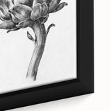 Romanticism Art - Artichoke Study - Classic Botanical Romantic Print