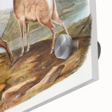 RomanticRomanticism Art - Rocky Mountain Sheep - Classic Animal Printism Art - Marriage A-la-Mode 3 - Classic Romantic Print (Copy)