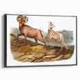 RomanticRomanticism Art - Rocky Mountain Sheep - Classic Animal Printism Art - Marriage A-la-Mode 3 - Classic Romantic Print (Copy)