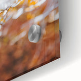 Large abstract wall art in warm autumn hues on acrylic glass, perfect for dining room ambiance.