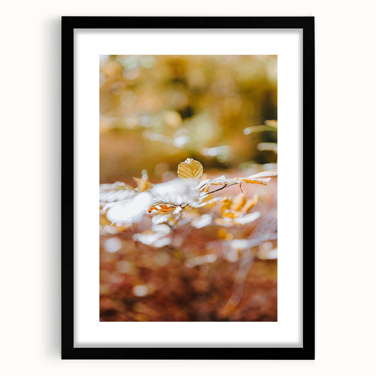 Extra large abstract art print featuring textured, colorful autumnal leaves on a black framed canvas.