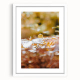 Abstract art print depicting fall foliage in vibrant orange and red tones, framed in white.