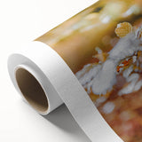 Art deco poster depicting an autumnal scene with warm orange and brown tones.