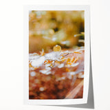 Large rolled canvas print featuring an autumn-themed floral design in warm orange and red tones.
