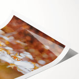 Extra large wall art featuring line art flowers in muted autumnal tones on a rolled canvas.