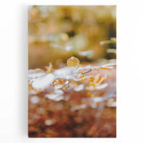 Large black and white stretched canvas depicting a minimalist autumn tree, suitable for kitchen art.