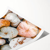 Extra large wall art featuring line art flowers in muted autumnal tones on a rolled print.