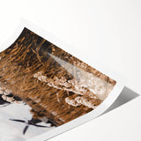 Extra large wall art featuring line art flowers in muted earth tones on a rolled canvas, ideal for large living room decor.