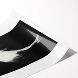 Abstract figurative rolled print showcasing vibrant colors and intricate shapes, perfect for modern home decor. Packaged securely in a protective cardboard tube.