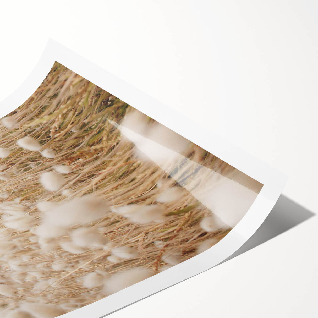 Extra large rolled print featuring line art flowers in black on a white background, ideal for large living room wall decor.