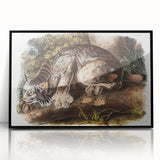 Romanticism Art: "Canada Lynx" by John Woodhouse Audubon