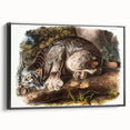 Romanticism Art: "Canada Lynx" by John Woodhouse Audubon