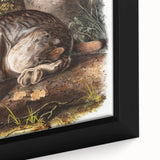 Romanticism Art: "Canada Lynx" by John Woodhouse Audubon
