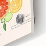 Large abstract wall art featuring assorted fruits in vibrant colors on acrylic glass, ideal for dining room decor.