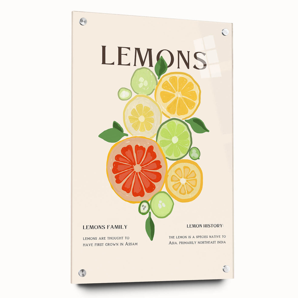 Acrylic print of large abstract wall art featuring assorted fruits in bright colors, suitable for dining room decor.