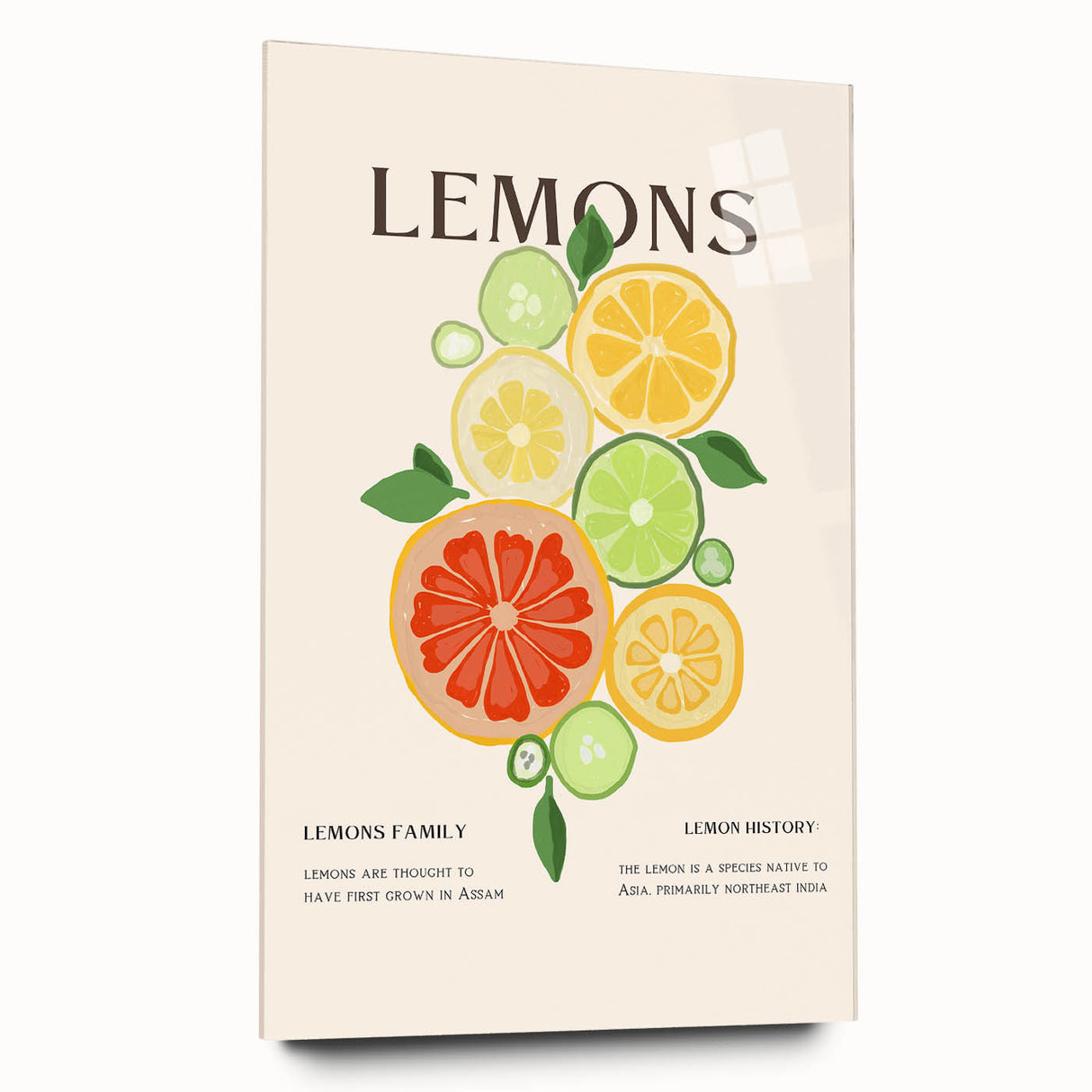 Large abstract wall art featuring assorted fruits in vibrant colors on acrylic glass.