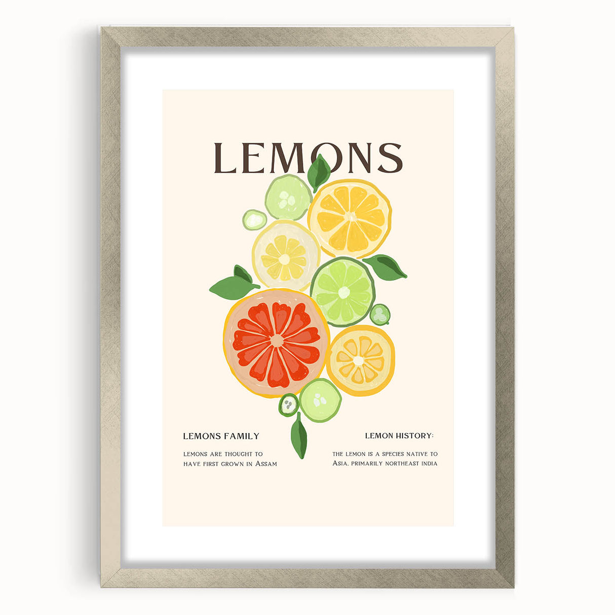 Textured art print of abstract fruits in muted earth tones, framed in silver, ideal for bedroom wall decor.