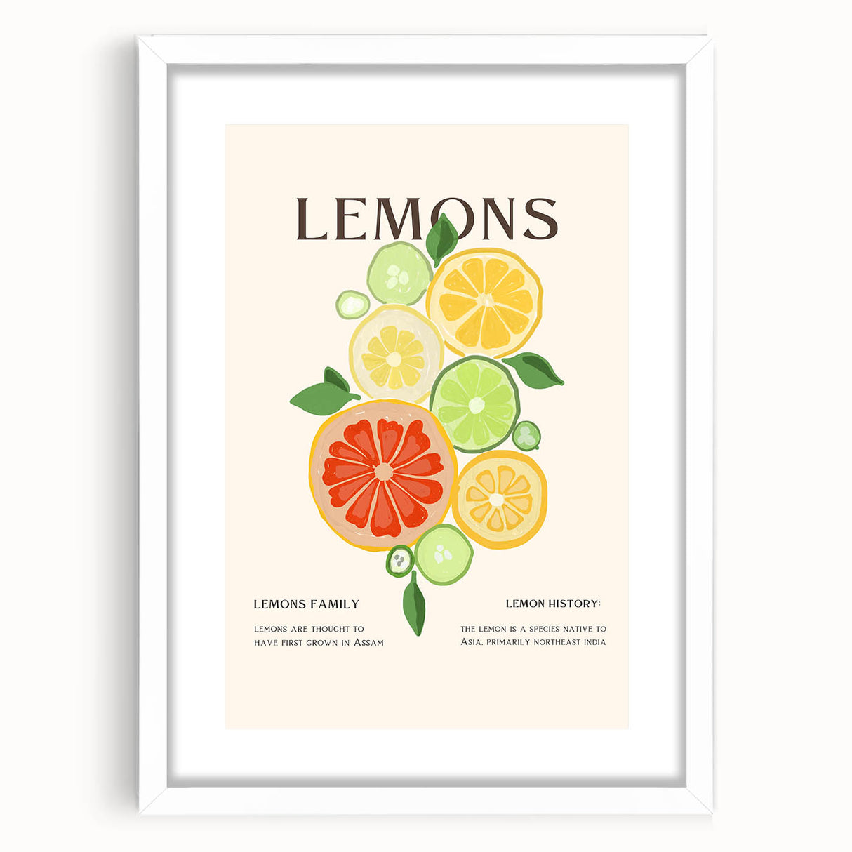 Abstract art print featuring assorted fruits in vibrant colors on a white framed mat, ideal for dining room decor.