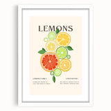 Abstract art print featuring assorted fruits in vibrant colors on a white framed mat, ideal for dining room decor.