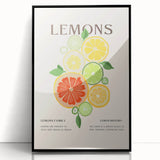 Large abstract wall art featuring assorted fruits in vibrant colors, framed in black acrylic.