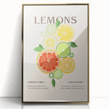 Mid-century modernist large art print of assorted fruits in vibrant colors, framed in gold acrylic.