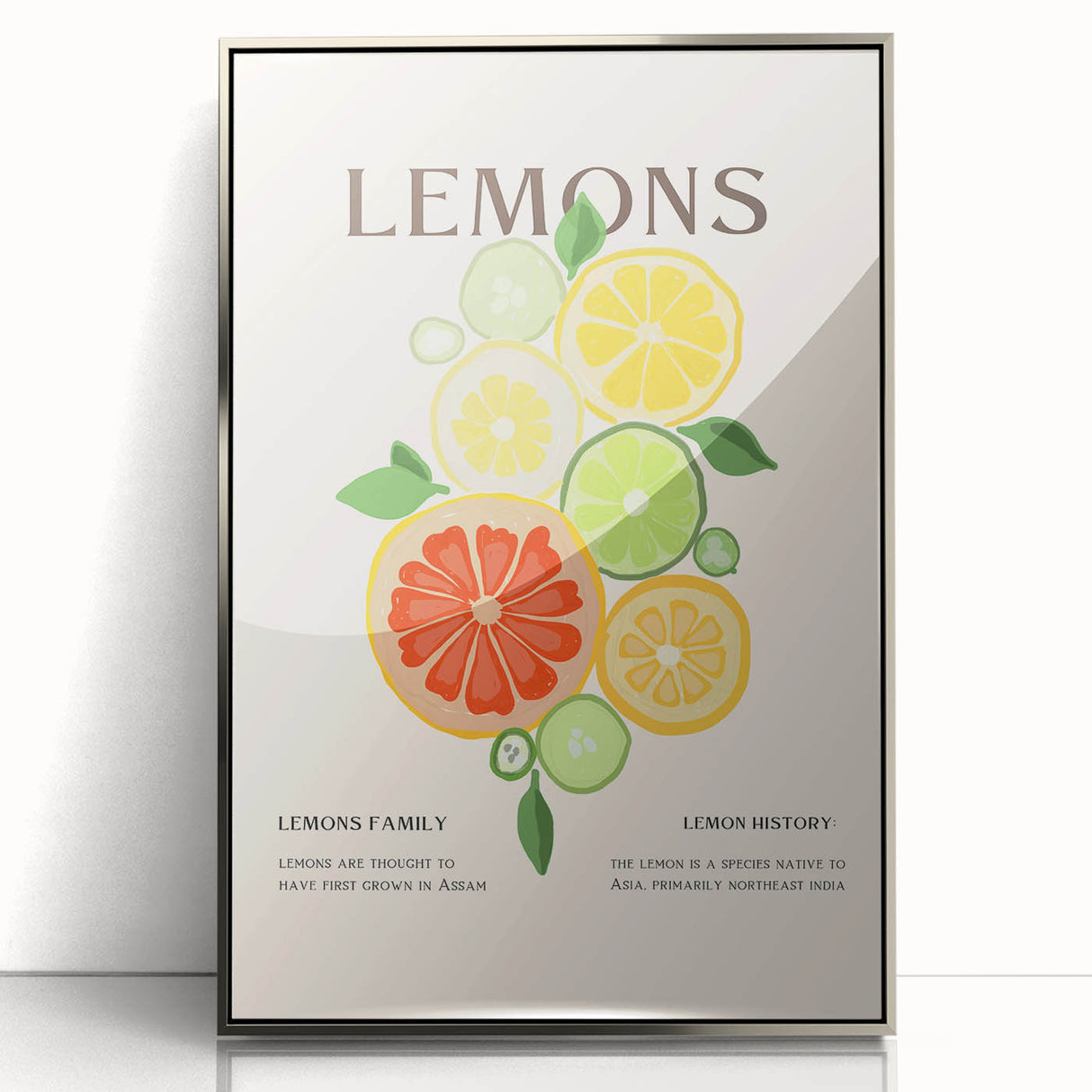 Mid-century modernist art featuring an array of colorful fruits on a silver-framed acrylic.