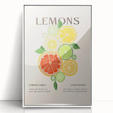 Acrylic print of assorted fruits in vibrant colors, framed in white, ideal for modern kitchen decor.