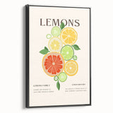 Black and white framed canvas depicting a vintage poster art style landscape with fruit, ideal for bedroom wall decor.