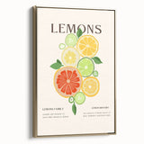 Framed canvas featuring vintage poster art of assorted fruits in muted gold and black, ideal for bedroom wall decor.