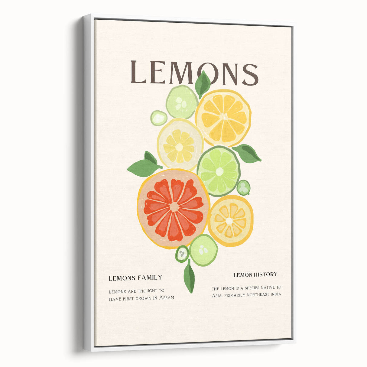 Vintage poster art of colorful fruits on a large framed canvas, ideal for living room decor, against a black backdrop.