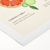 Art deco poster featuring a stylized fruit arrangement in bold colors on rolled canvas, suitable for dining room decor.