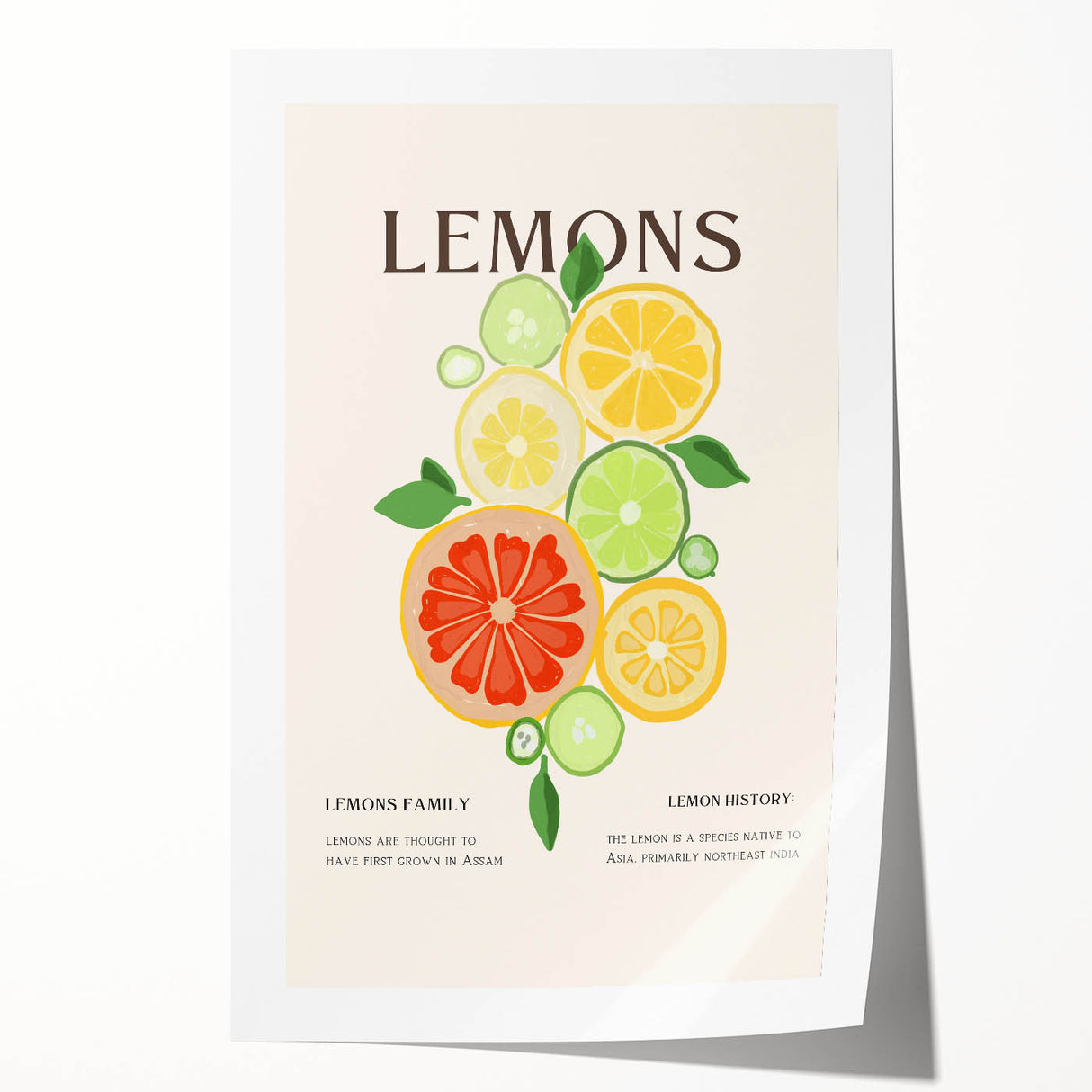 Rolled canvas print featuring an array of vibrant fruits on a light background, ideal for dining room wall art.