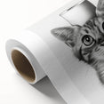 Bathroom Wall Art - Cat with Toilet Paper Hat