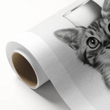 Bathroom Wall Art - Cat with Toilet Paper Hat