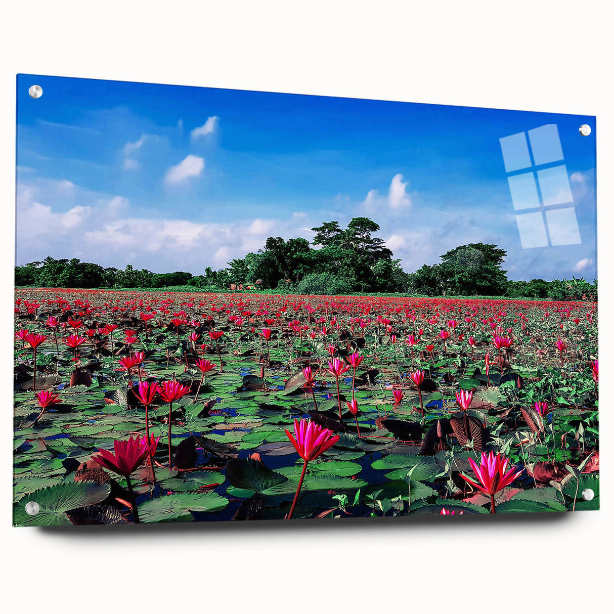 Large abstract wall art on acrylic glass depicting a serene Bangladesh landscape, ideal for bedroom or dining room decor.