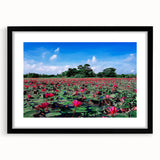 Extra large abstract art print featuring a colorful, textured scenery of Bangladesh on a black framed canvas.