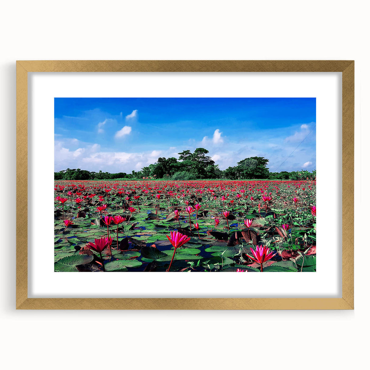 Extra large abstract art print featuring textured scenery of Bangladesh in muted earth tones, framed in gold.