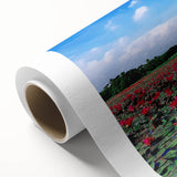 Art deco poster featuring a serene Bangladesh landscape in soft green and blue tones on rolled canvas.