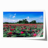 Rolled print of a Bangladesh scenery with lush green landscapes and floral elements, suitable for art wall dining room.