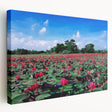 Large canvas print of a serene Bangladesh riverside scene in soft green and blue tones, ideal for kitchen wall art.