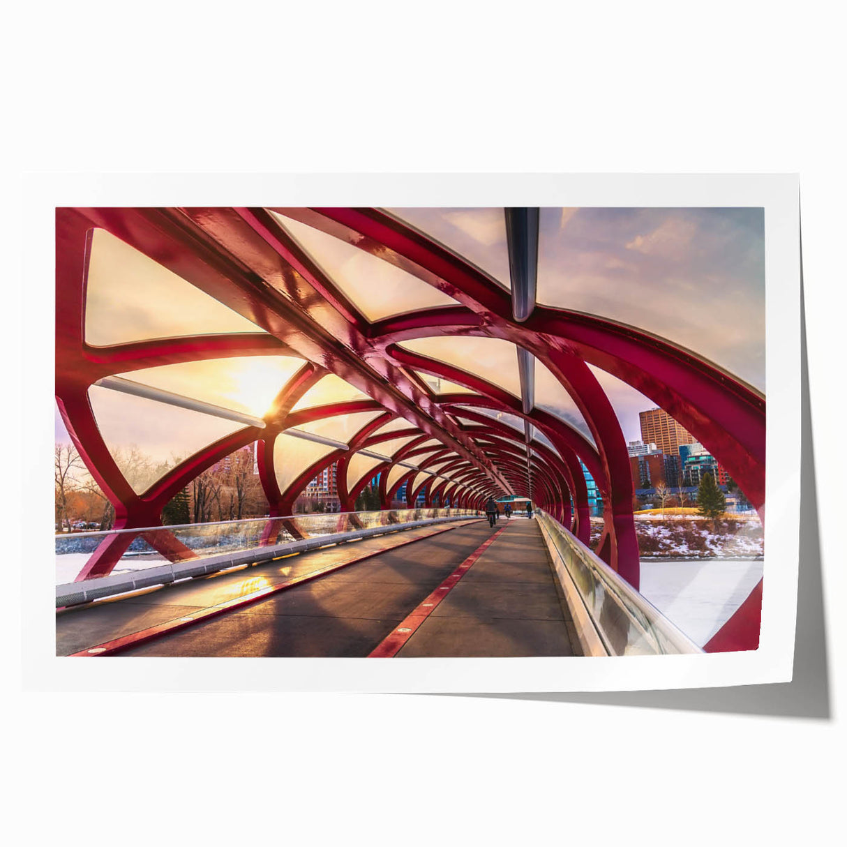 Scenic Alberta landscape on a rolled print, featuring vibrant green tones, ideal for dining room wall art.