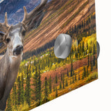 Mid-century modernist style large abstract wall art of Yukon scenery on acrylic glass, ideal for dining room art.