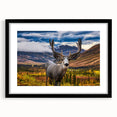 Colorful abstract art print of Yukon scenery in extra large black framed matte, ideal for living room decor.