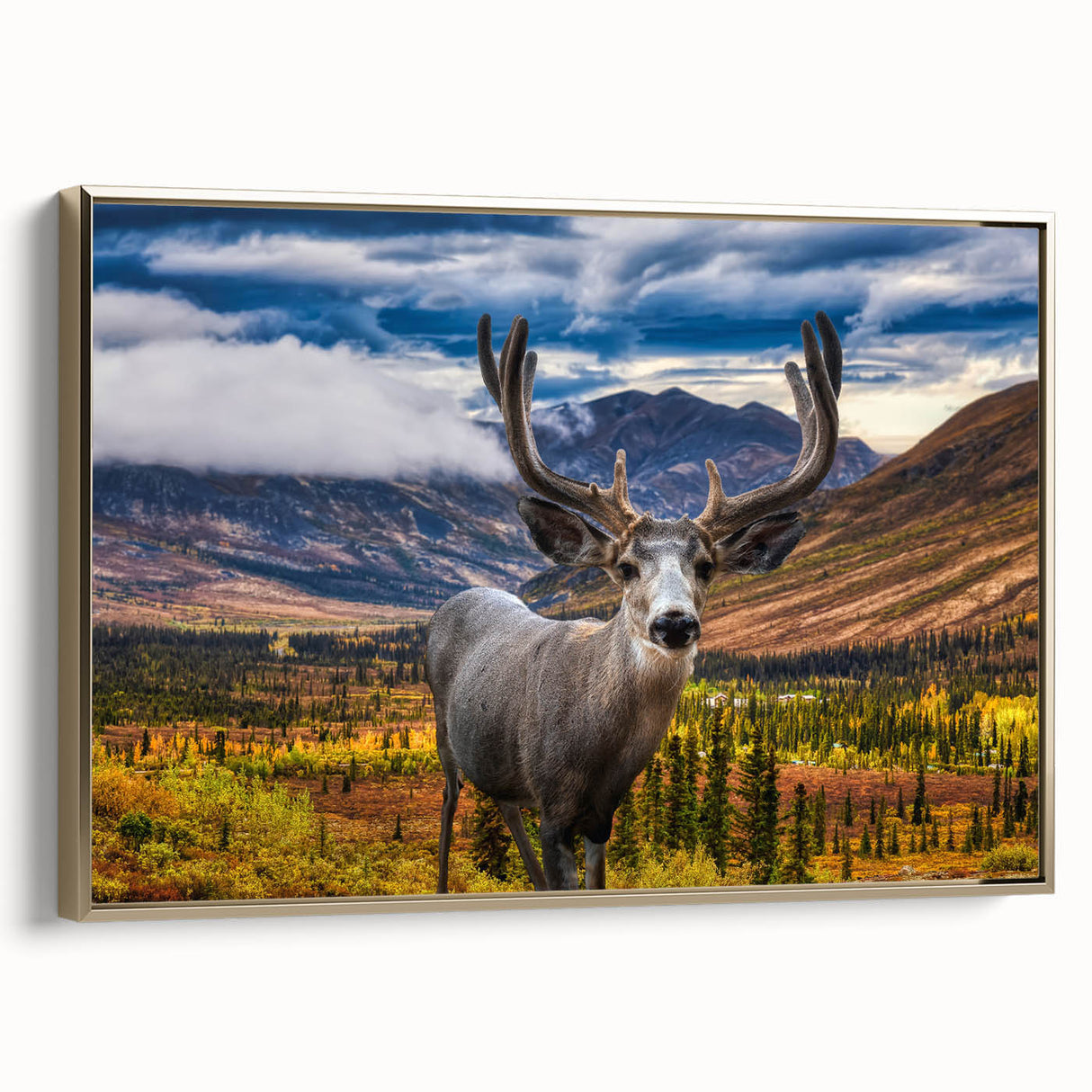 Framed canvas featuring a vintage-style landscape painting of the Yukon, in muted gold and black tones.