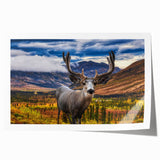 Scenic Yukon landscape on rolled print, featuring muted green and blue tones, ideal for dining room wall art.