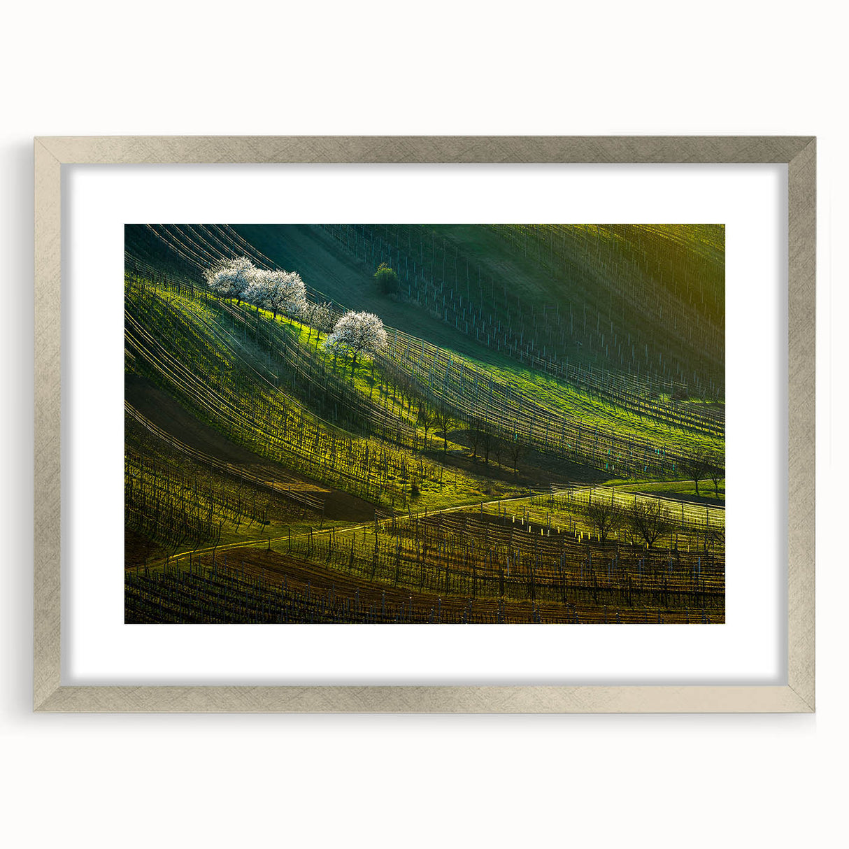 Extra large abstract art print of a textured European scenery, in muted earth tones, framed in silver.