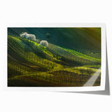 Rolled print of a Czech Republic scenery with lush floral elements in soft green and pink tones.