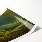 Extra large rolled print of line art flowers in black and white, ideal for large living room wall art.